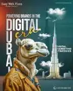 Professional SEO Company Dubai, Dubai