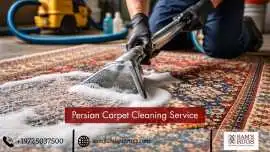 Persian Carpet Cleaning Service | Gentle Cleaning, Dallas
