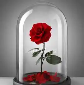 Forever Rose London - Best Florist in Dubai, Dubai