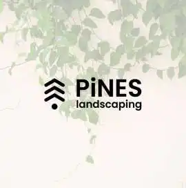 The Best Landscaping Services in Dubai, Al Karama