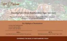 Amazing Facts About Ranthambore Tiger Sanctuary 