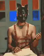 Subculture Harness Collection: Bold Design, ps 100