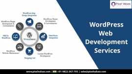 Best WordPress Web Development Company , Al Farwaniyah