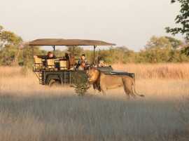 Safari Adventures with Ngasini Travel Experience, Arusha