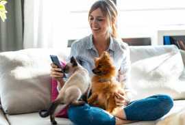Level Up Your Grooming Business: How Online , Chicago