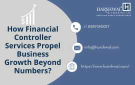 Top Financial Controller Services, San Diego