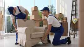 Best Moving Services in Tauranga | Fast Freight , Dargaville