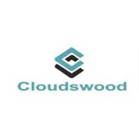 CLOUDSWOOD TECHNOLOGIES PVT LTD - TTO Ribbons, Dubai