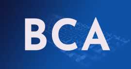  BCA at Accurate Group of Institutions, Noida