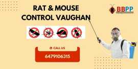 B.B.P.P.  Rat & Mouse Control Vaughan , Vaughan