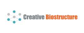 Creative Biostructure, New York
