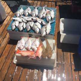 Fishing Charter Cost Sydney