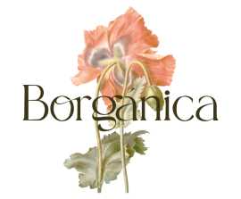 Peluqueria BORGANICA Bilbao, Melilla
