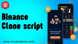 Binance clone script | Kryptobees, Madurai