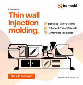Need Precision? Get Thin Wall Mould Expertise, Delhi