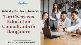 Empowering Academic Futures: Education Consultants, Bengaluru
