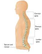Healing Backs with an Expert Spine Specialist in J, Jaipur