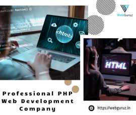 Expert PHP Web Development, Mohali