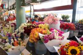 Seattle’s Floral Gems: The Ultimate Guide, ps 95