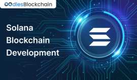 Solana Blockchain Development | Oodles Blockchain, Sheridan