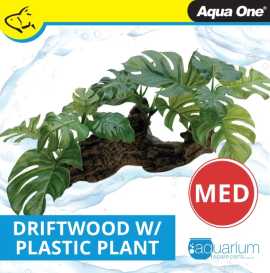 Dive Into Quality Reptile Supplies, Wendouree