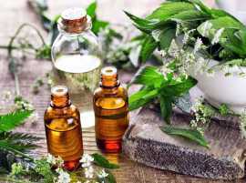 Natural Essential Oils Wholesale, $ 100