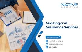 Professional Small Business Accounting, San Diego