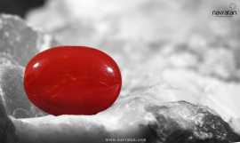 7 Carat Red Coral: Buy Best Price In Jaipur , Jaipur