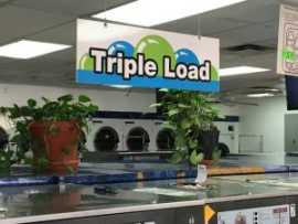 Vinyl Printing Excellence in the Heart of New York, New Rochelle