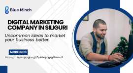 Blue Minch: The Greatest at Helping Businesses Onl, Siliguri