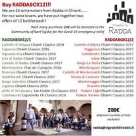 Discover the Essence of Tuscany: Chianti Wine Tour, Radda in Chianti