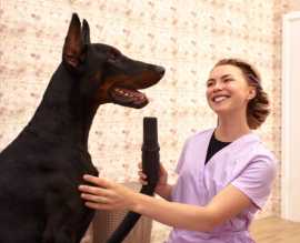 How Can Pet Groomers Effectively Communicate With , Chicago