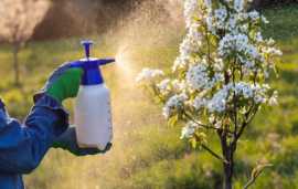Crop Vegetable Seeds and Buy Fertilizer in KSA wit, Riyadh