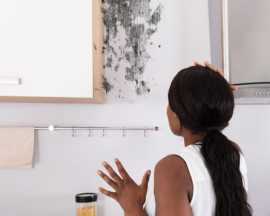 Get Professional Water Damage Repair with Damage R, Miami