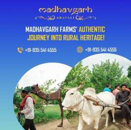 Farm House Near Gurgaon