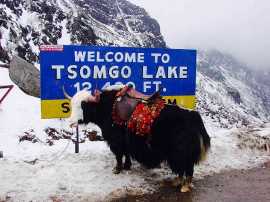 NORTH SIKKIM TOUR PACKAGE, Siliguri