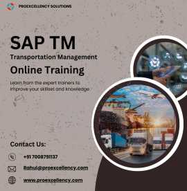SAP TM Online: Flexible Training for Professionals, Bengaluru