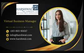Stay Organized with a Virtual Business Manager, San Diego