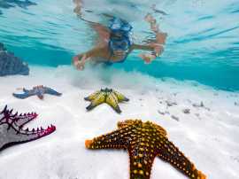 Zanzibar Awaits: Book Your Zanzibar Tour Packages , Dubai