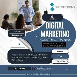 Best Digital Marketing & SEO Services in India, Chandigarh
