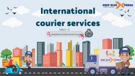 Logistics Management System – Deep Blue Xpress, Faridabad