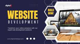 Professional Web Development Services , Mohali
