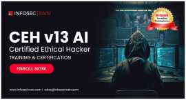 Top Ethical Hacker Online Training, New York