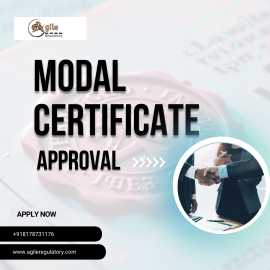 Achieve Seamless Model Approval Certification with, Noida