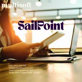 SailPoint IdentityIQ Implementation & Develope, Noida