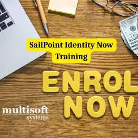 SailPoint Identity Now Training - Master Identity , Noida