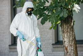 Affordable Pest Extermination Services, Calgary