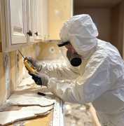 Best Mold Removal Services – Funguy Inspections, Los Angeles