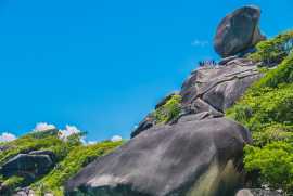 Attractive Corporate Tour Packages|Tripper Trails, Bengaluru