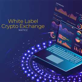 White Lable Crypto Exchange - Maticz, Miami